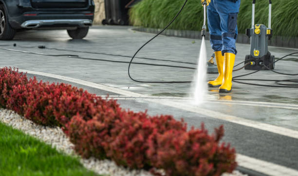 Best Soft Washing for Delicate Surfaces in Ak Chin Village, AZ